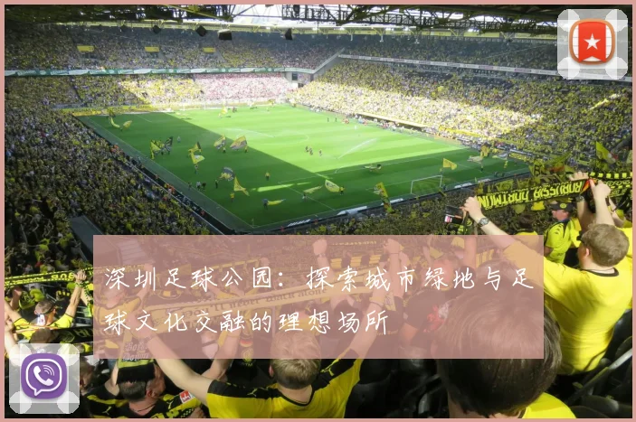 深圳足球公园：探索城市绿地与足球文化交融的理想场所