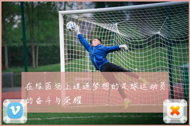 在绿茵场上追逐梦想的足球运动员的奋斗与荣耀