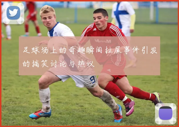 足球场上的奇趣瞬间拉屎事件引发的搞笑讨论与热议